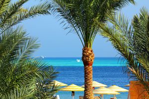 Genießen - exklusiver Ägyptenurlaub am Roten Meer