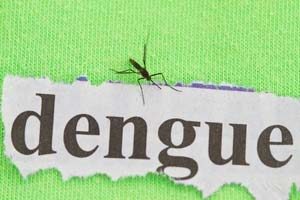 Infektionskrankheit Dengue-Fieber in Afrika