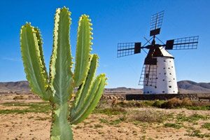 Typisch Fuerteventura - Windmühle