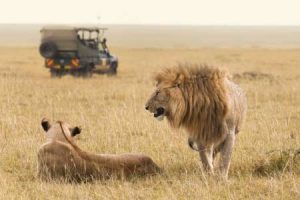 Kenia: Safari durch den Osten des Landes