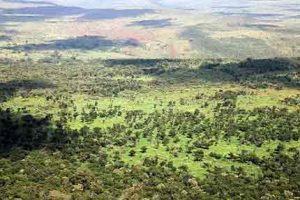 Kenia - beeindruckende Landschaft am Rift Valley in Ostafrika