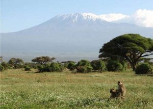Kombinierte Rundreise durch Kenia und Tansania rund um den Kilimandscharo