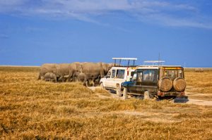 Kenia: Safari im Tsavo Nationalpark