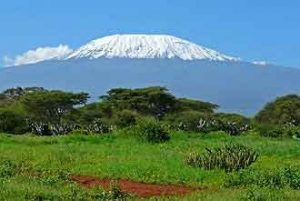 Kilimandscharo- höchster Berg in Afrika