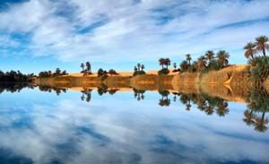 Schöne Oasen in der Libyschen Wüste