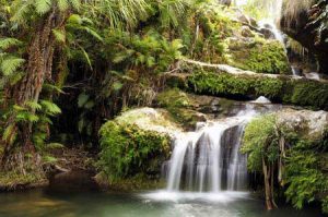 Wunderschönes Highlight - Wasserfälle im Regenwald