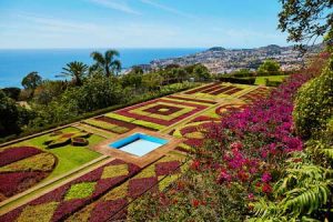 Beeindruckende Gärten in Funchal