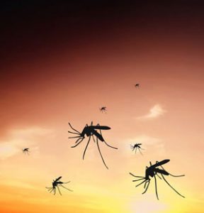 Infektionskrankheit Malaria in Afrika