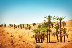 Abwechslungsreiches Klima in Marokko