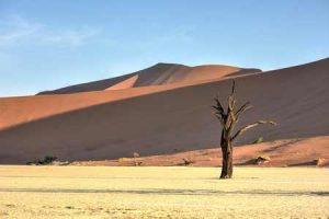Namibia: trockenes Land