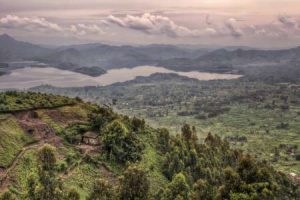 Ruanda: Safaris finden meist im Hügelland statt