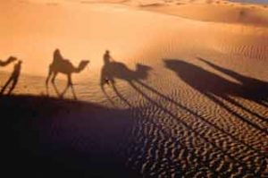Die Sahara im Norden von Afrika ist die größte Wüste der Welt