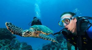 Seychellen: Unterwasserparadies für erlebnisreiches Tauchen