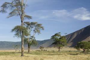 Der Kraterrand des Ngorongoro in Tansania