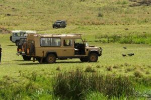 Tansania: Safari in den Nationalparks