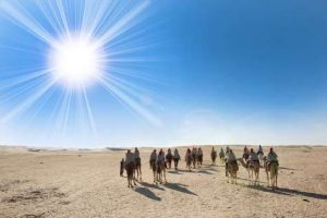 Wüstenausflug in die Sahara auf einem Kamel 