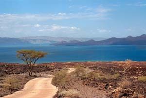 Der Turkana-See