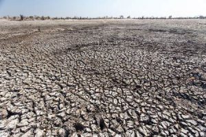 Landschaft in der Kalahari im Makgadikgadi-Pans-Nationalpark