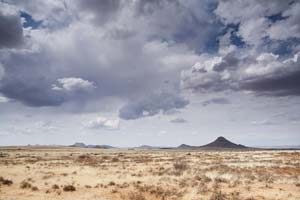 Die faszinierende Karoo Halbwüste