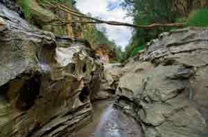 Canyon im Hells Gate Nationalpark in Kenia