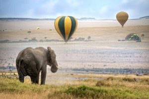 Kenia: Ballonsafari in der Masai Mara