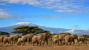 Reiseinformationen für einen Urlaub in Kenia