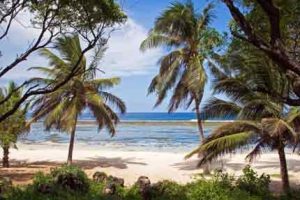 Wunderschöner Sandstrand am Tiwi Beach - Kenia-Urlaub an der Südküste