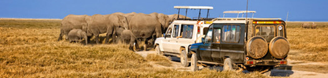 Kenia: Tsavo Nationalpark