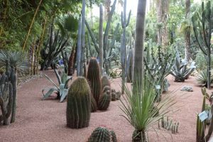 Jardin Majorelle - Sehenswürdigkeit in Marrakesch