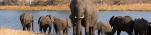 Bwabwata-Nationalpark in Namibia