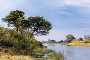 Namibia: im Nambwa-Nationalpark im Caprivi-Zipfel