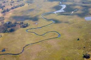 Okavango-Delta