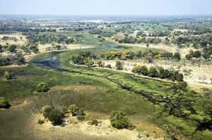 Okawango - Delta in Botswana