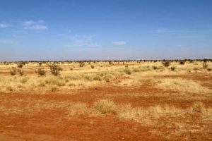 Die Sahelzone südlich der Sahara