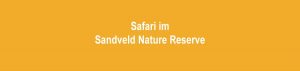 Safari im Sandveld Nature Reserve