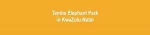 Tembe Elephant Park in KwaZulu-Natal