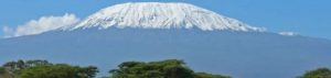 der Kilimandscharo in Tansania